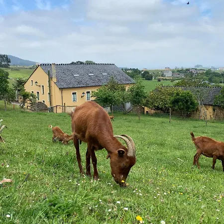 Отель Casa Da Roxa 3*