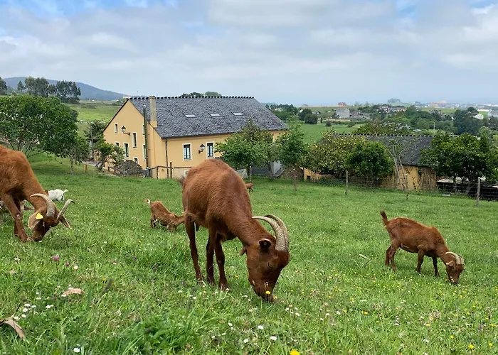 Hotel Casa Da Roxa 3*