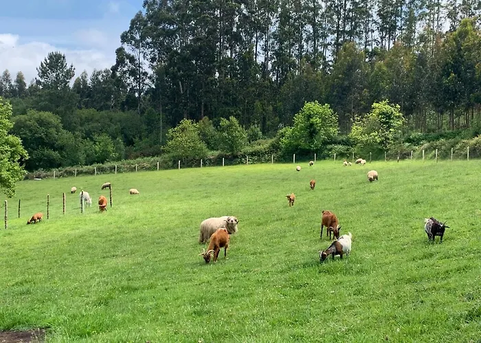 Casa Da Roxa Отель